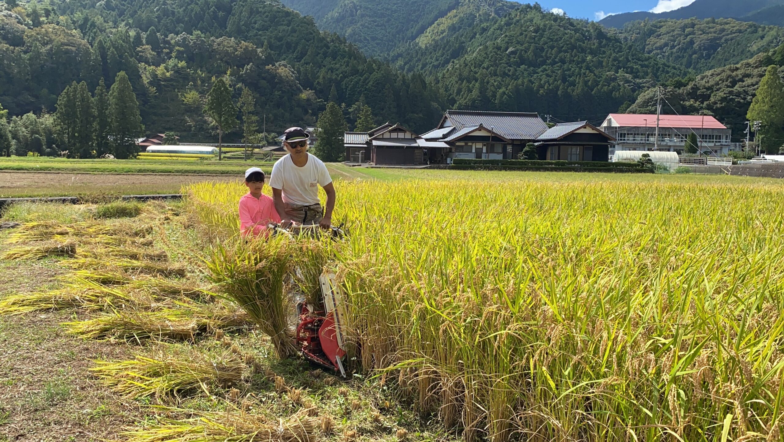 山に囲まれた田んぼで、稲刈り機を使って稲を刈る人たち